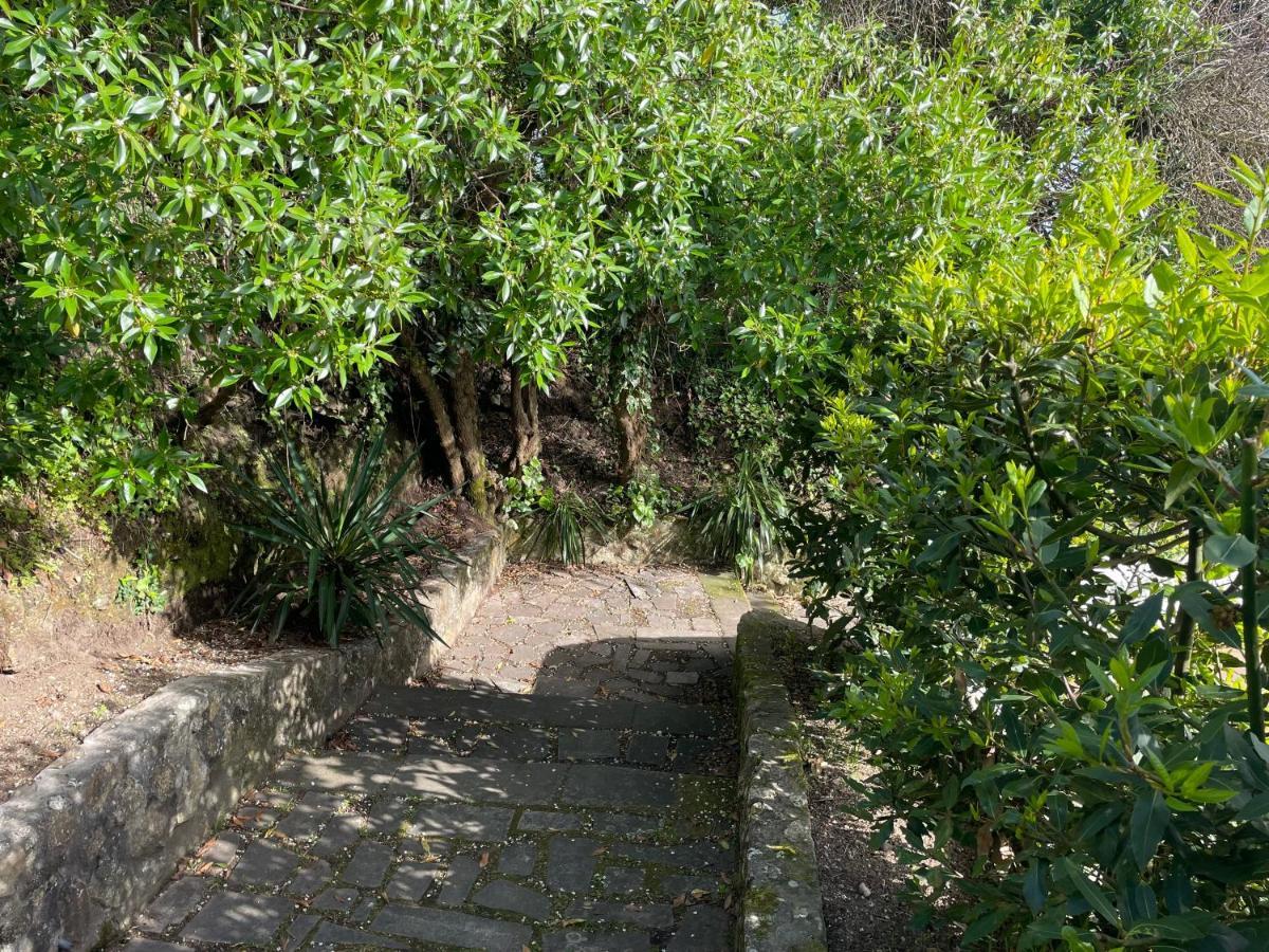 Villa En Playa Limens Cangas do Morrazo Eksteriør billede